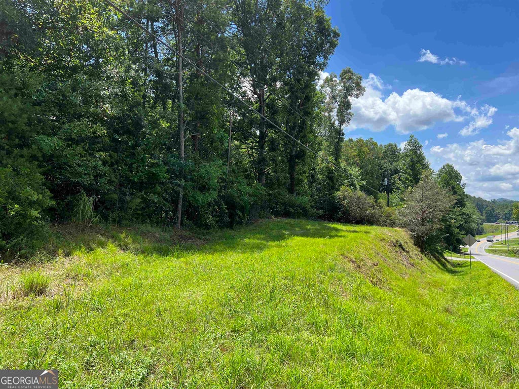 Photo of 0 W Kytle Street, Cleveland, GA 30528 (MLS # 10836064)