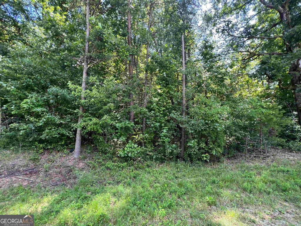 Photo of 0 W Kytle Street, Cleveland, GA 30528 (MLS # 10836064)