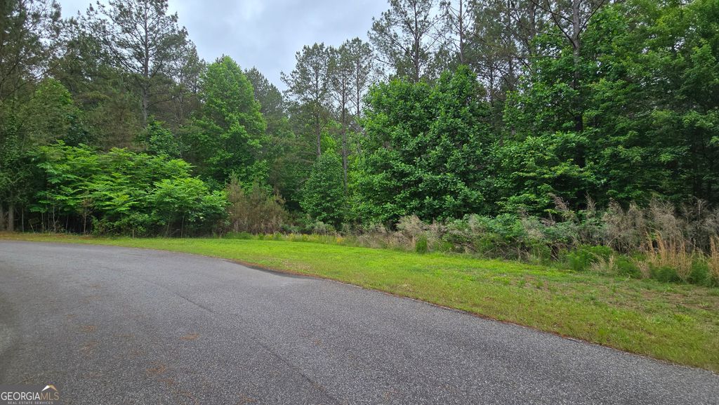 Photo of 43 Loftis Mountain Way, Blairsville, GA 30512 (MLS # 10771208)