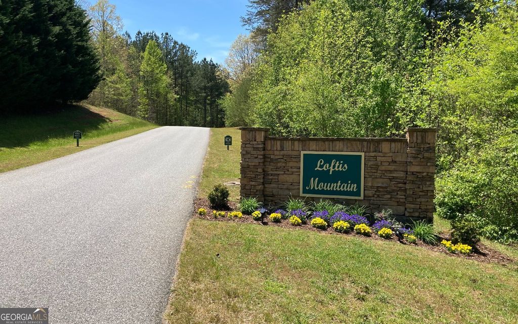 Photo of 43 Loftis Mountain Way, Blairsville, GA 30512 (MLS # 10771208)