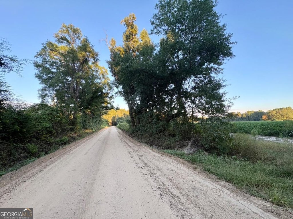 Photo of 0 Old Moore Road #4, Portal, GA 30450 (MLS # 10856051)