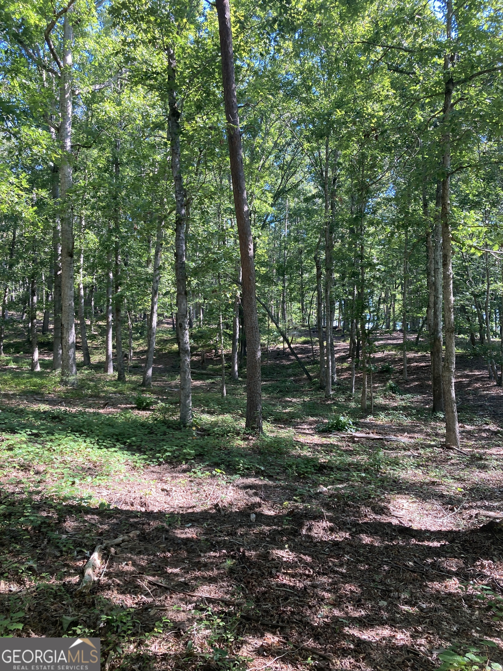 0 TRACT 1 Annandale DR