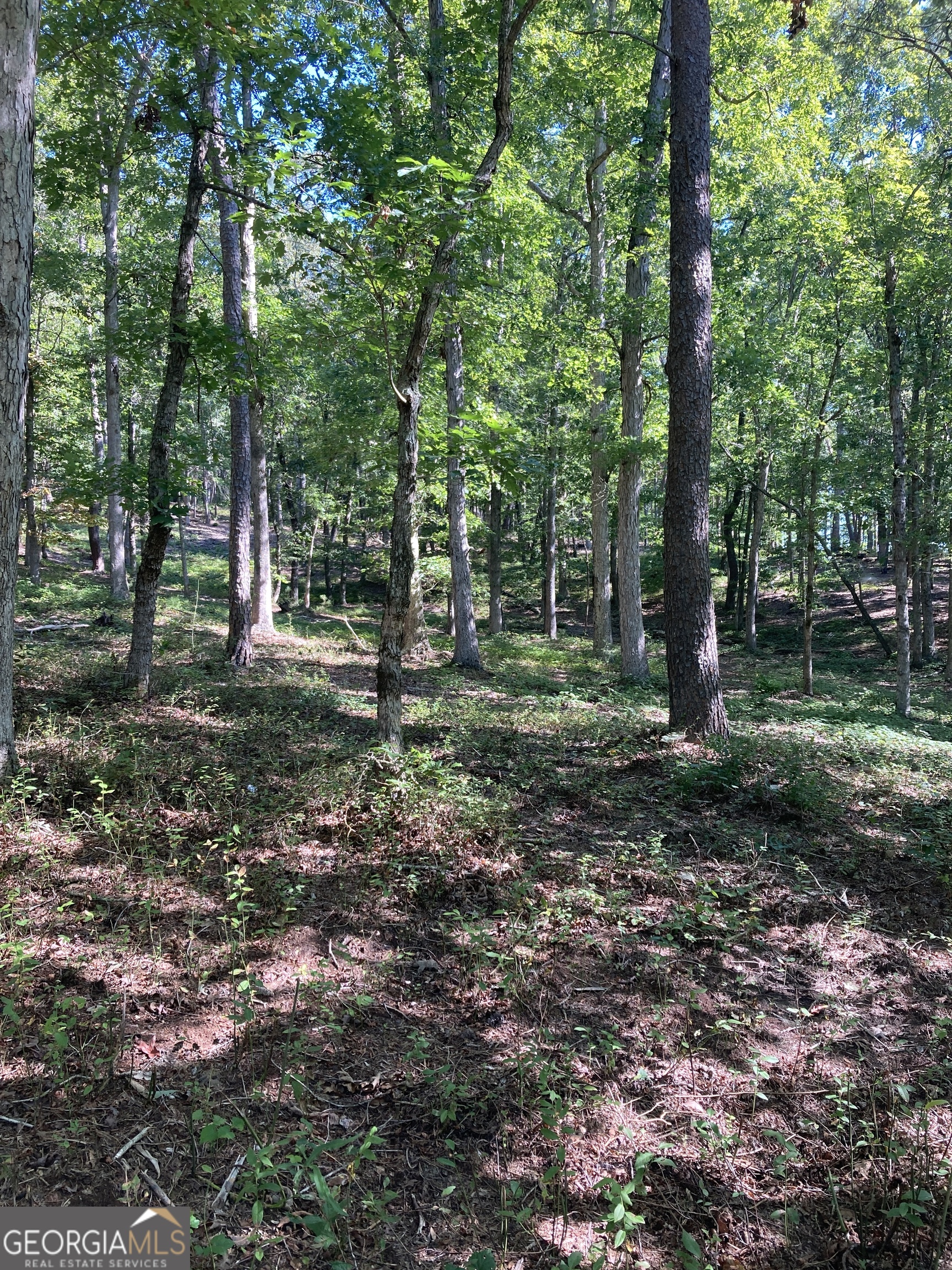 0 TRACT 1 Annandale DR