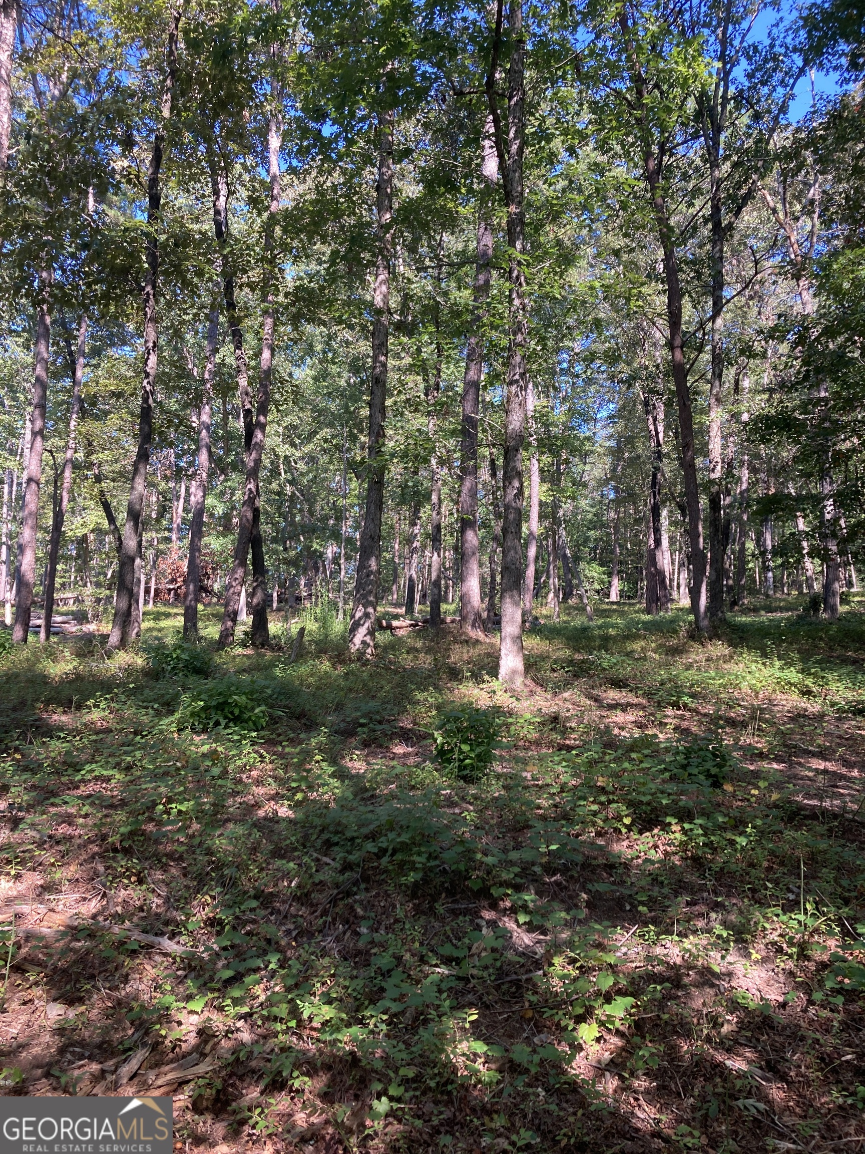 0 TRACT 1 Annandale DR