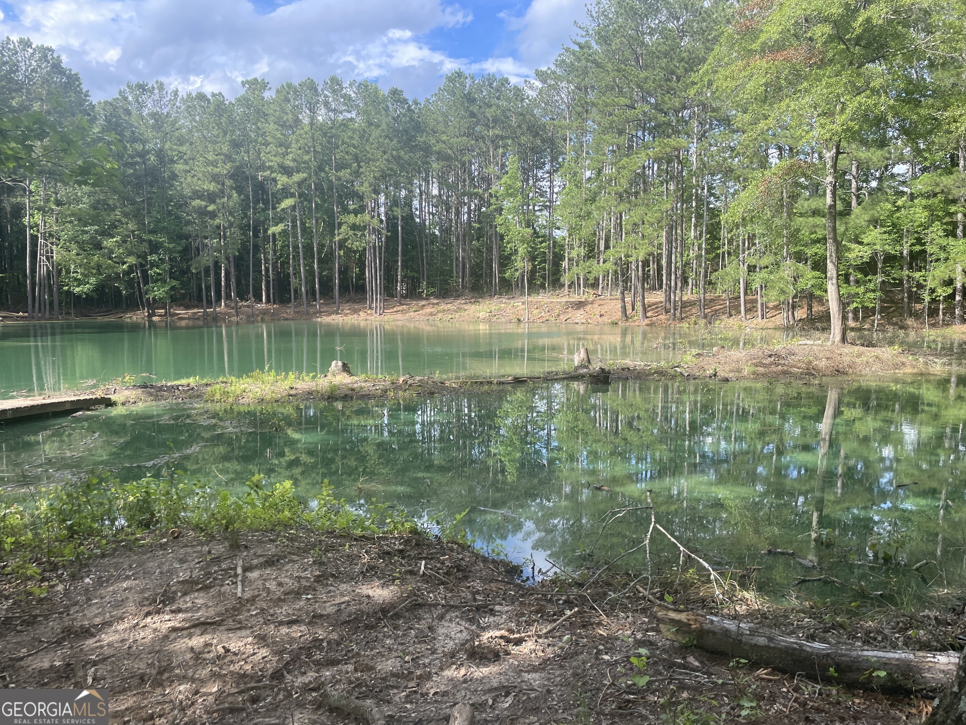 Hard to Find in the area * Spring-Fed Pond * Fishing * 4 acres * Land and the whole pond for $99,000 * Call Joe to find out more at 770-574-1111