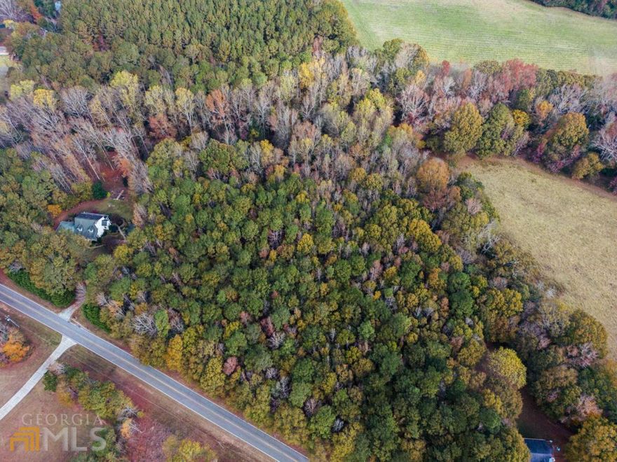 Beautiful 3.89 acre tract is now available in sought after North Oconee area! This property is full of beautiful hardwoods and is surrounded by estate homes. There is a creek to the back and it is conveniently located close to Dove Creek ES and the brand new middle school that will be opening next year!