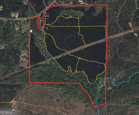 Photo of 18014 Johnson Mill Road, Hamilton, GA 31811 (MLS # 10572935)