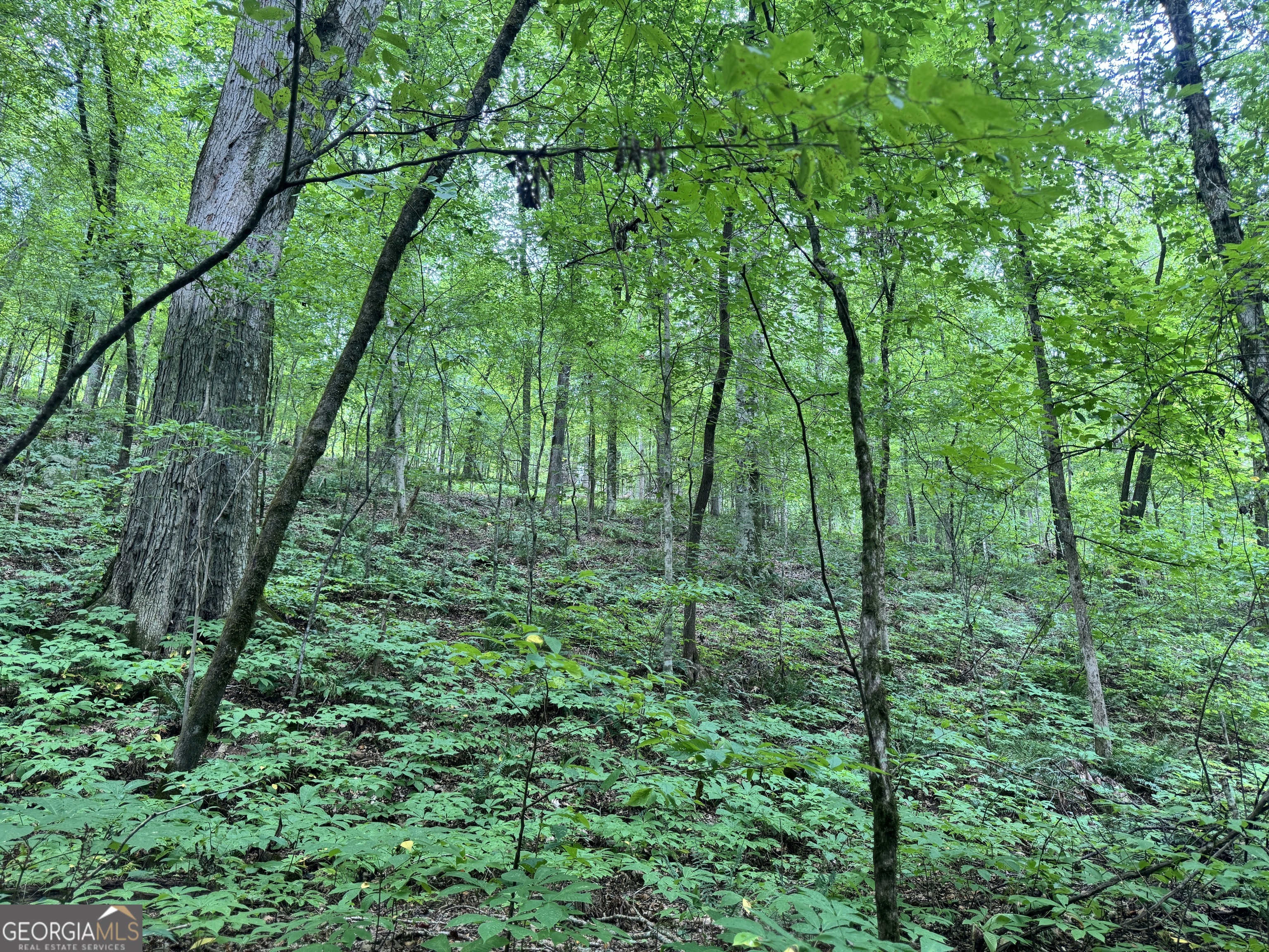 180.14 AC Johnson Mill RD