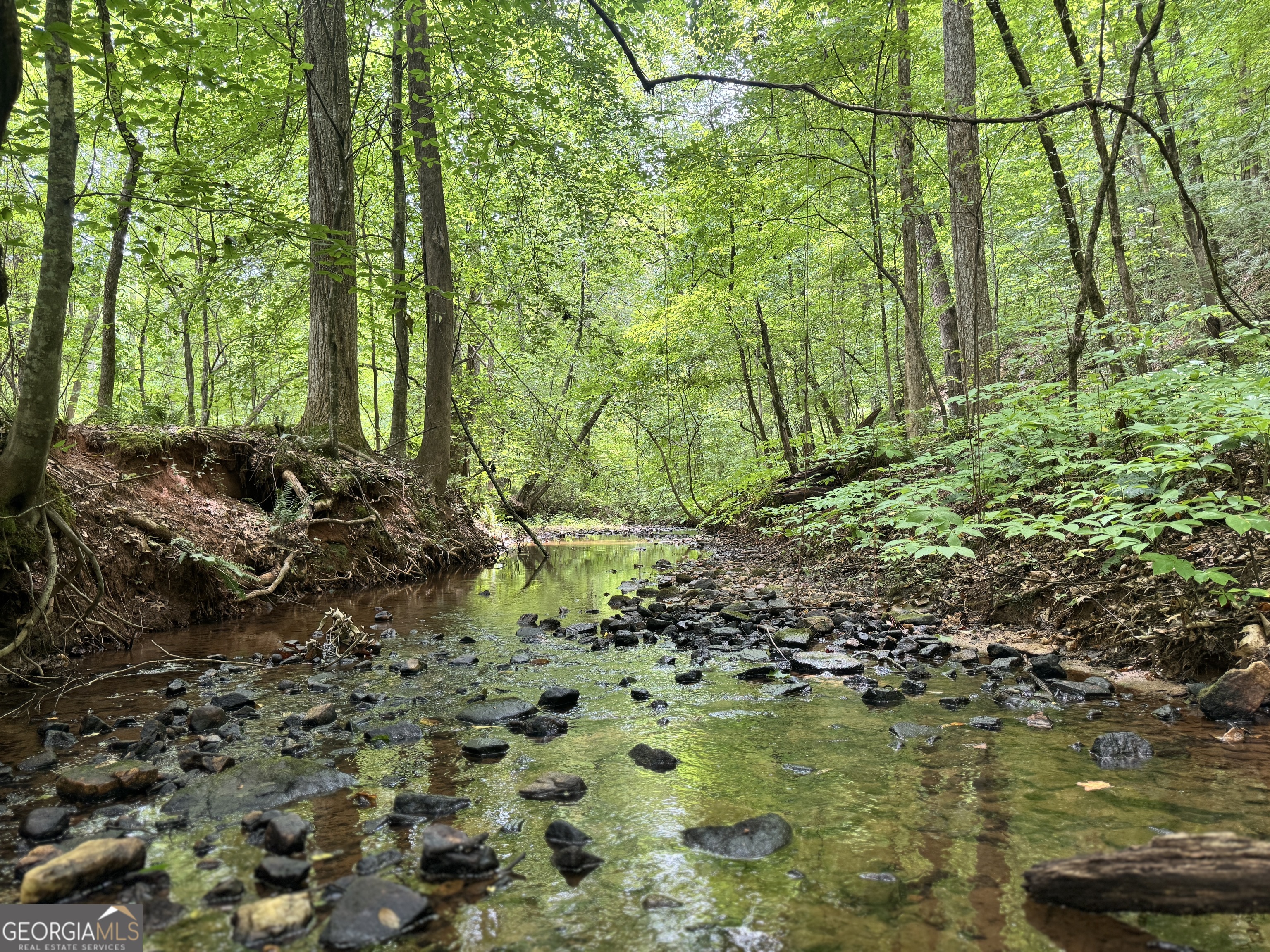 180.14 AC Johnson Mill RD