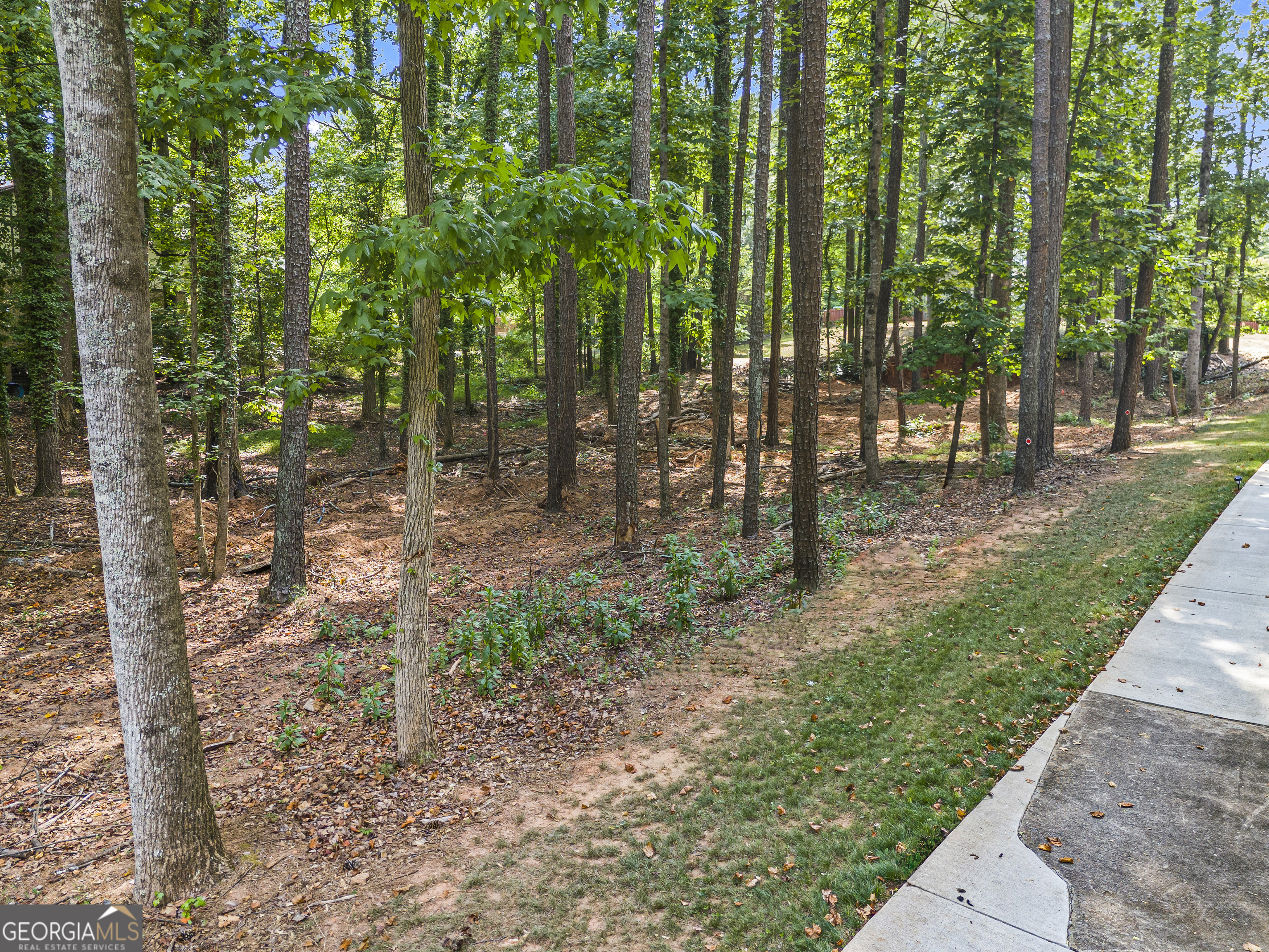 Windwood Forest - Residential