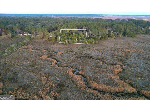 Photo of 81 Marsh Oak Drive, Brunswick, GA 31525 (MLS # 10697596)