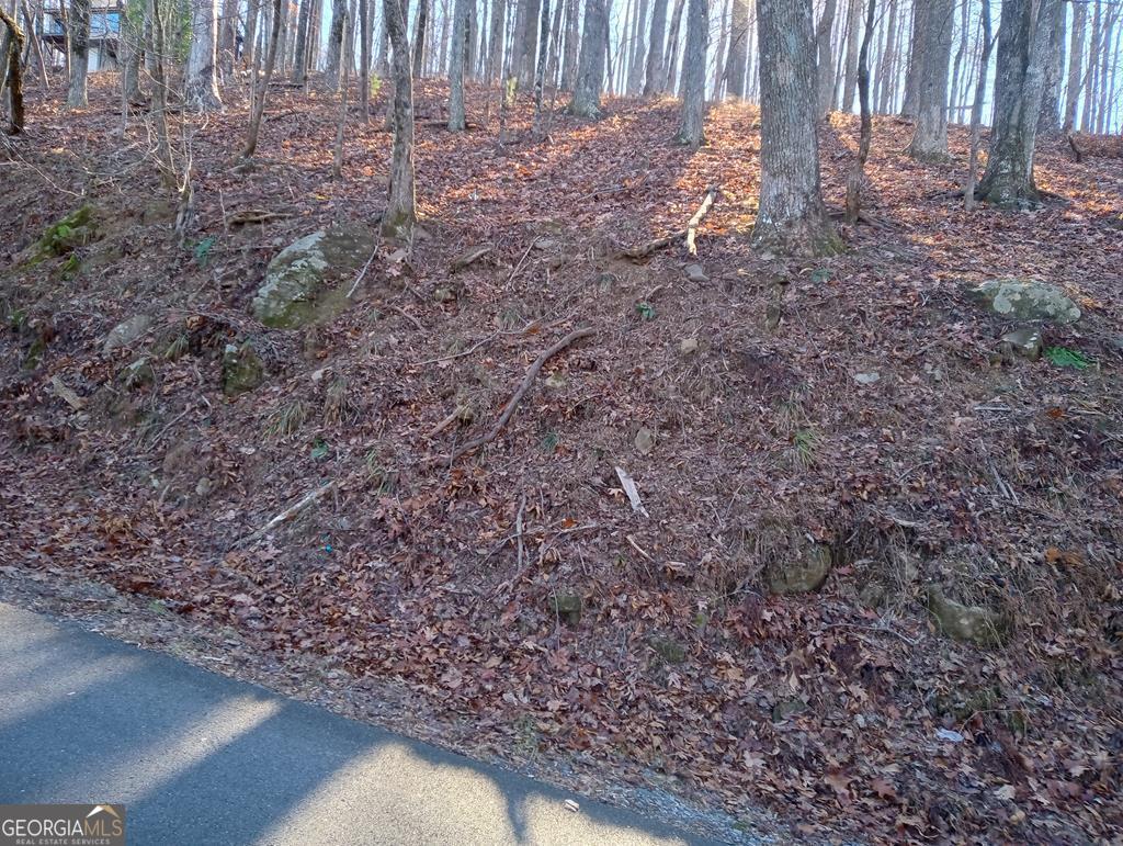 This lot is located in the beautiful gated community of Walnut Mountain. With mountain views in the front and back of the property, it would be a great place to build your home. The lot is steep at the road, but once you get to the top, you will find a gentle terrain. Enjoy all the amenities that Walnut Mountain has, such as a clubhouse, swimming pools, basketball, camping, picnicking, and four lakes. This community is close to town, so that you can enjoy all that Ellijay has to offer.