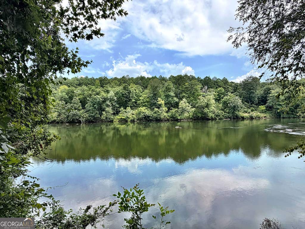 Photo of 43 Rivermist Rd, Juliette, GA 31046 (MLS # 10832175)
