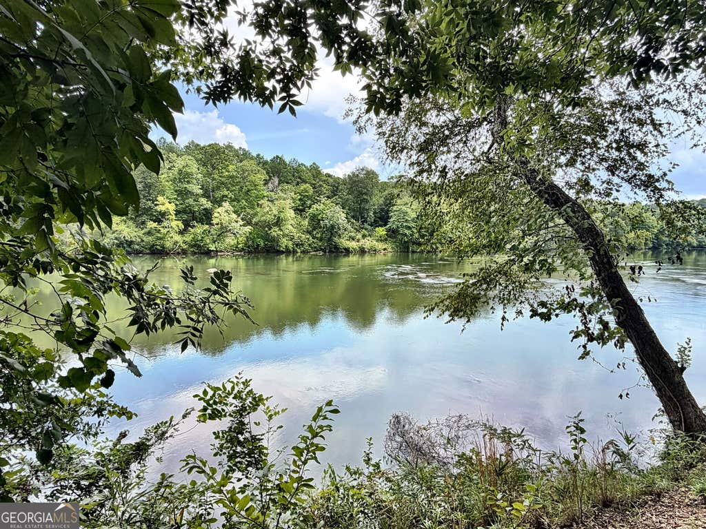 Photo of 43 Rivermist Rd, Juliette, GA 31046 (MLS # 10832175)