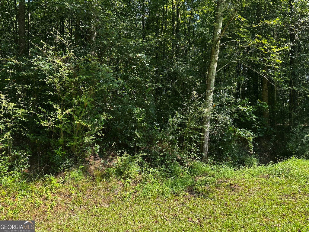 Photo of 00 Overbrook Drive, Temple, GA 30179 (MLS # 10832844)