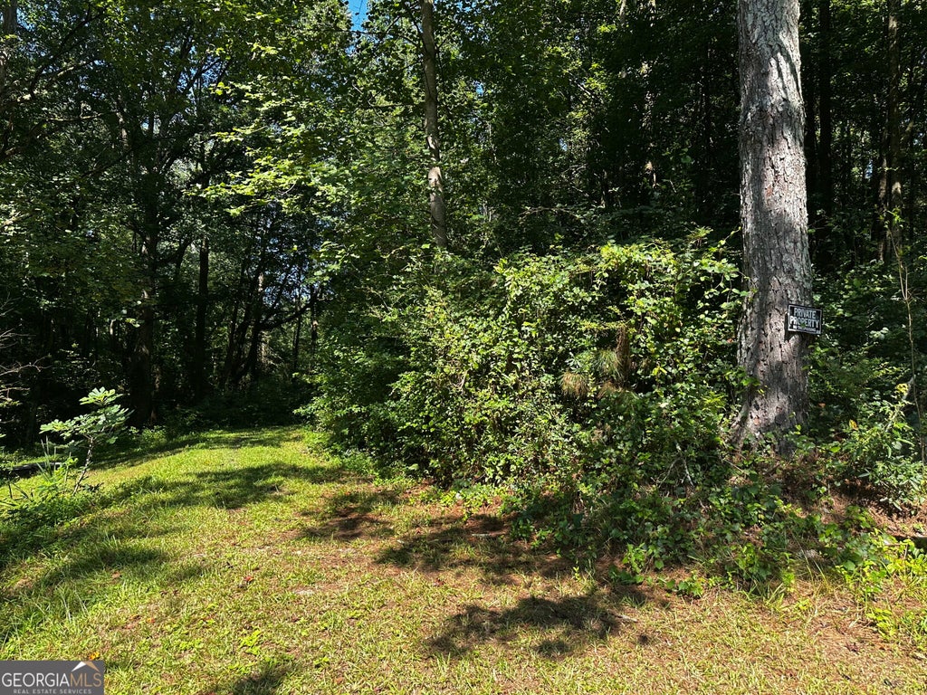 Photo of 00 Overbrook Drive, Temple, GA 30179 (MLS # 10832844)