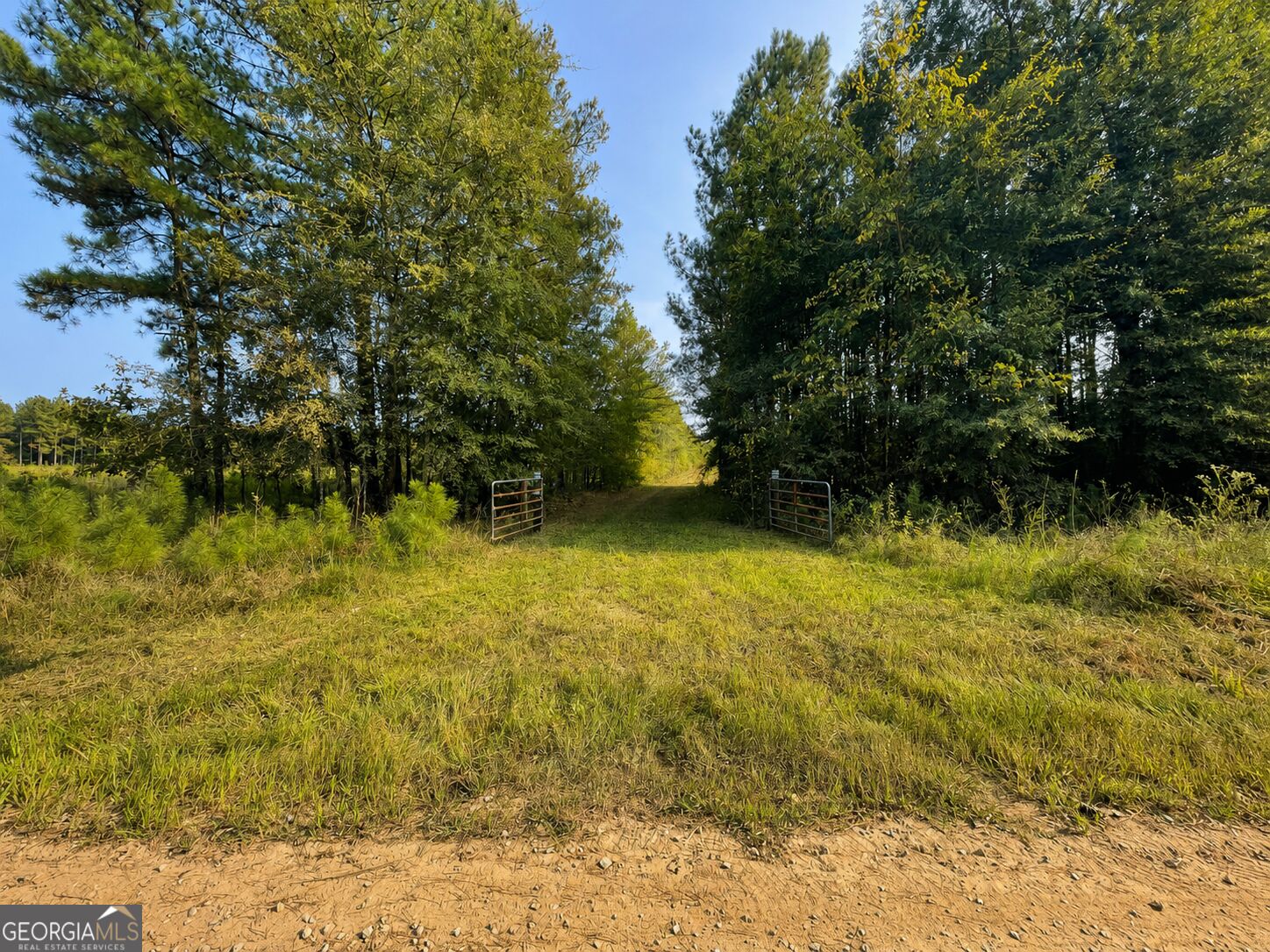592 Arnold Caldwell RD