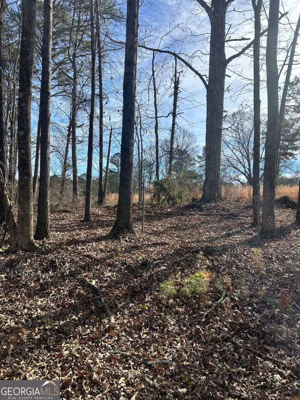 Photo of 0 Dogwood Trail, Winder, GA 30680 (MLS # 10675677)
