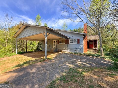 1131 Glade Creek PKWY Mount Airy GA 30563