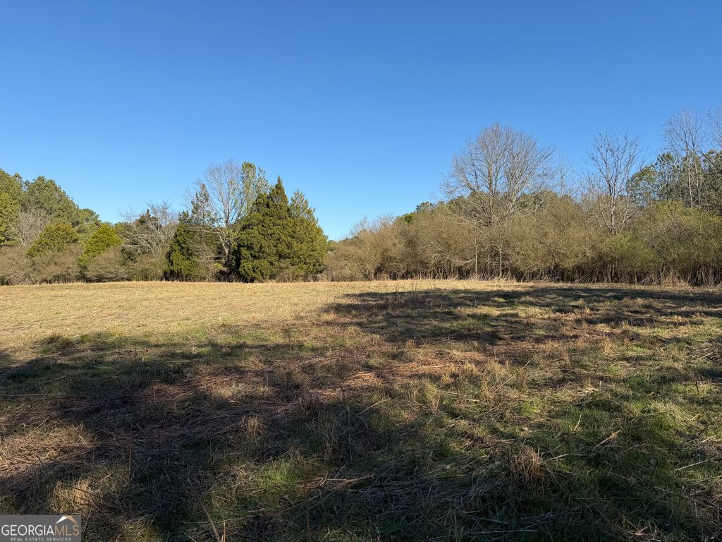 Photo of 0000000 Liberty Church Road, Ranger, GA 30734 (MLS # 10760420)