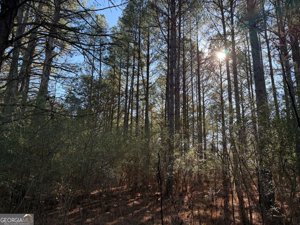 Photo of 0000000 Liberty Church Road, Ranger, GA 30734 (MLS # 10760420)