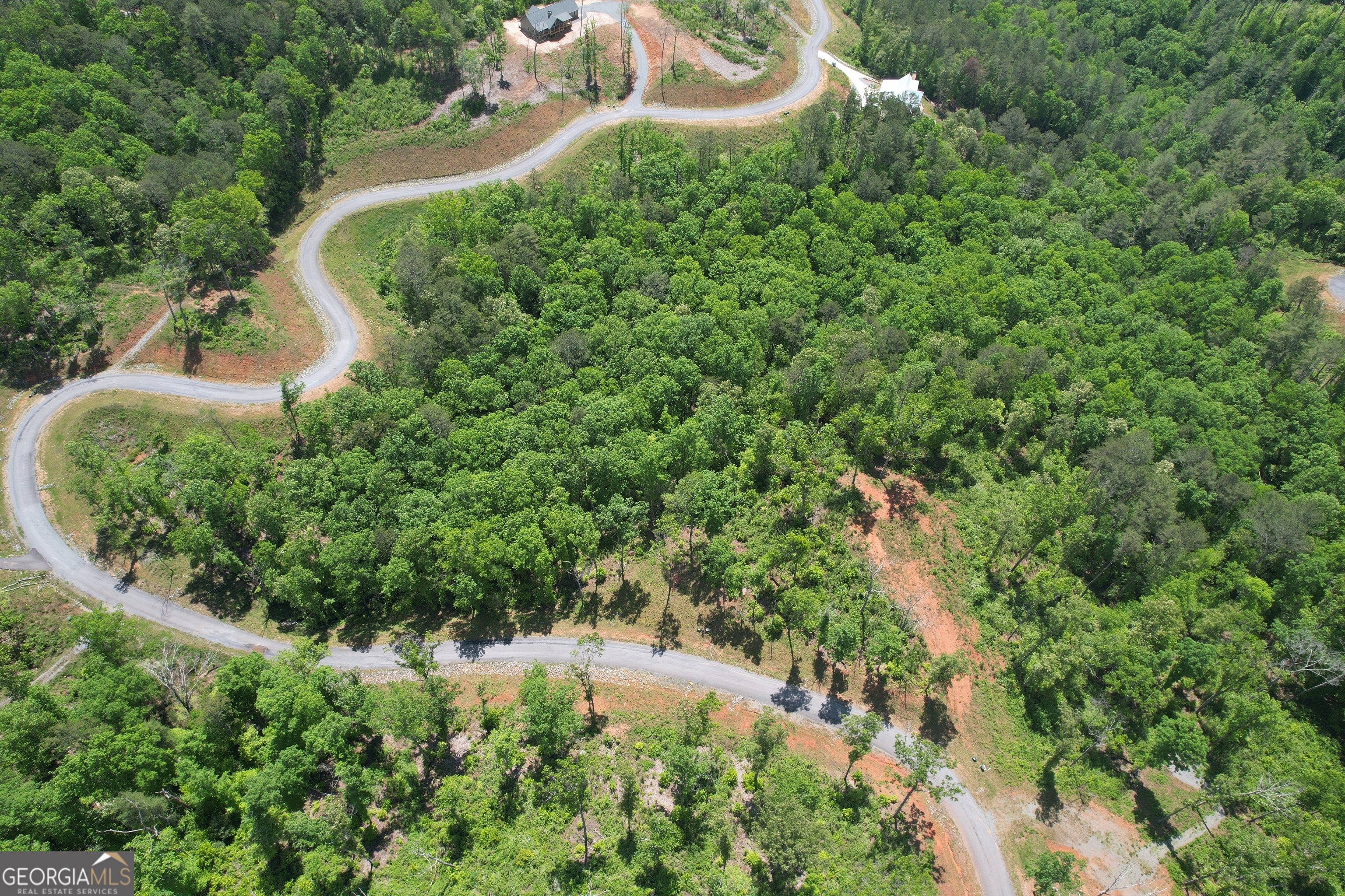Discover the perfect place to bring your mountain home vision to life in the gated community of High River in Ellijay, Georgia. This 3.35-acre lot offers gently rolling terrain surrounded by the peaceful beauty of the North Georgia mountains. Whether you're dreaming of a cozy weekend getaway or a full-time residence, this property provides a stunning natural setting with the comforts of a well-maintained neighborhood. High River residents enjoy premium amenities, including private access to Lake LeCroy for kayaking and fishing, a beautifully designed clubhouse, and a riverside park ideal for relaxing afternoons. The community features paved roads, underground utilities, and a welcoming environment where both full-time residents and short-term rentals are allowed-making it a great option for personal enjoyment or investment income. Located just 10 minutes from downtown Ellijay, you'll have easy access to charming local shops, restaurants, and outdoor adventures. Blue Ridge and Carters Lake are a short drive away, offering hiking, boating, and scenic views for year-round recreation.