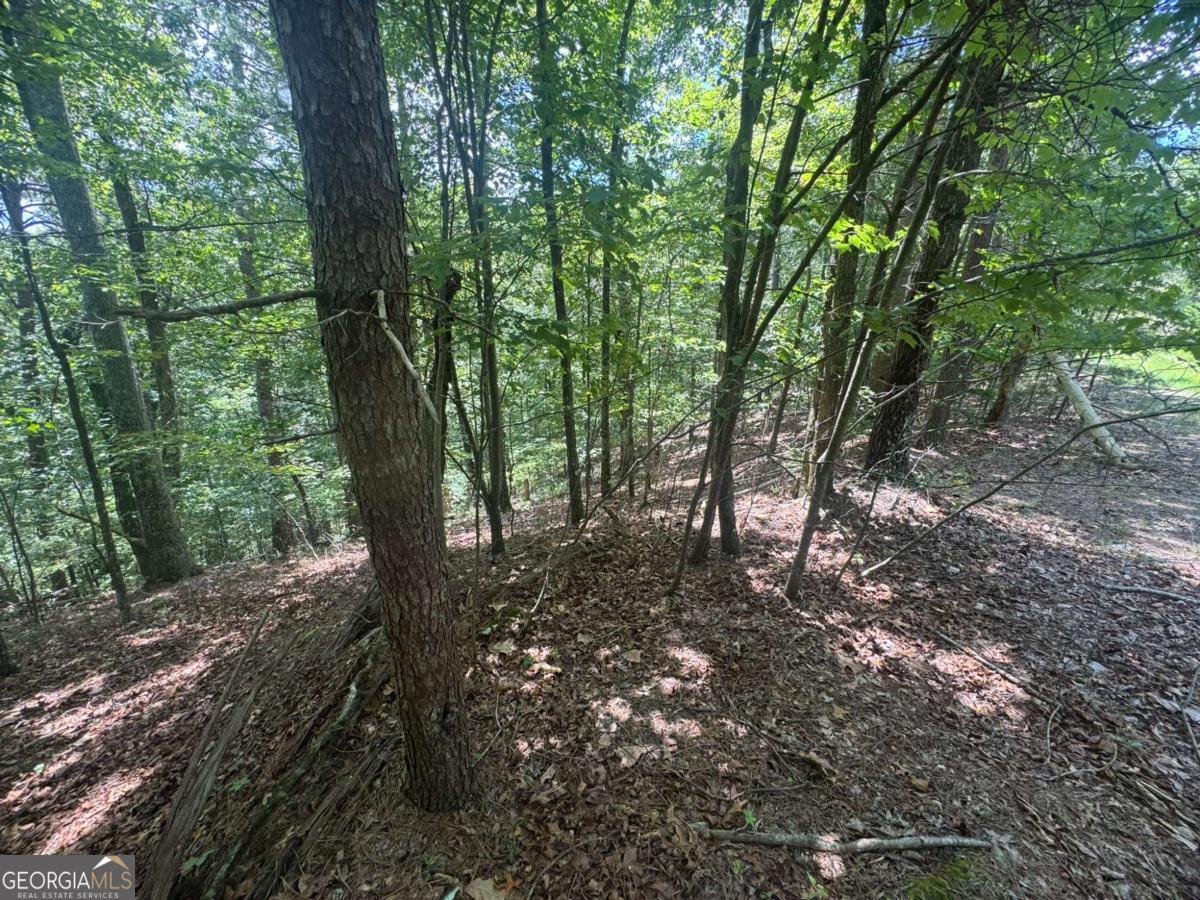 LOT 91 NE Muslin DR