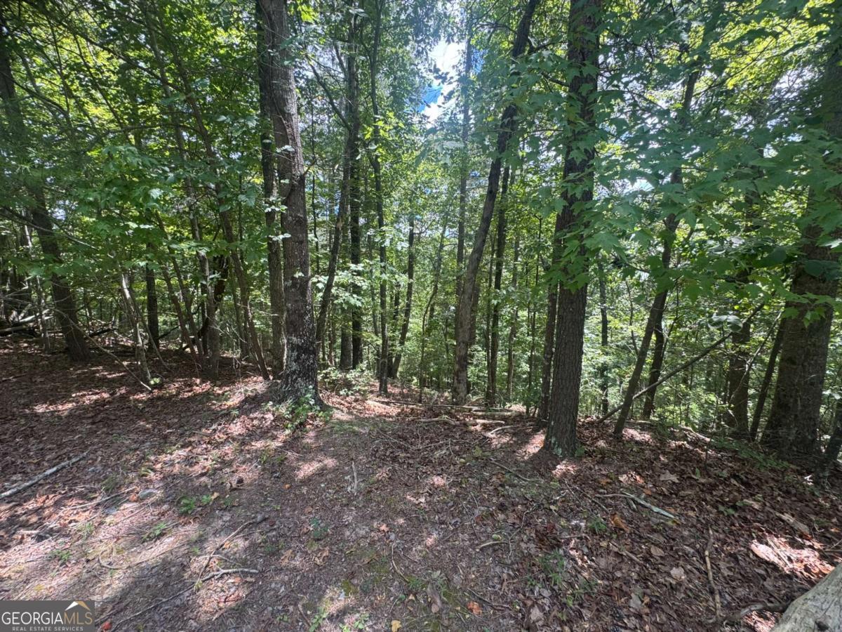 LOT 91 NE Muslin DR