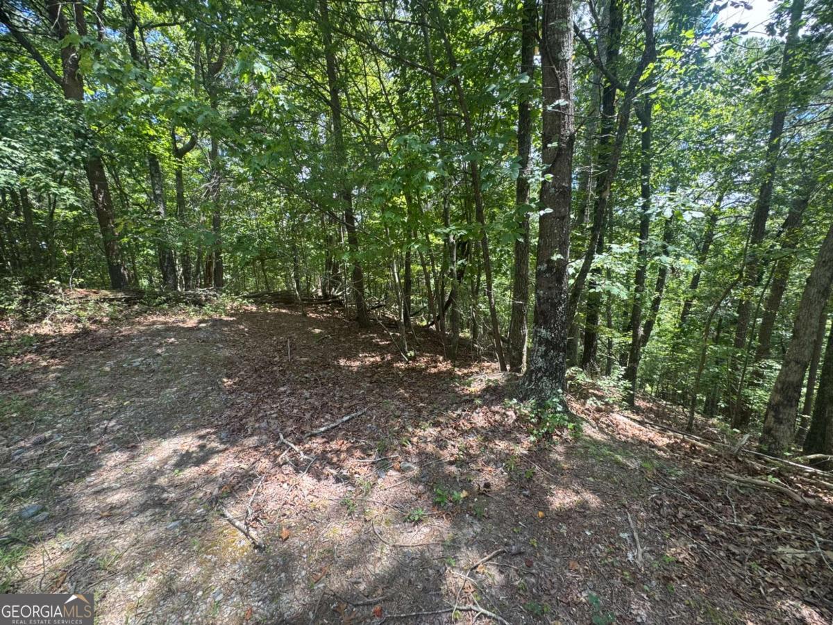 LOT 91 NE Muslin DR