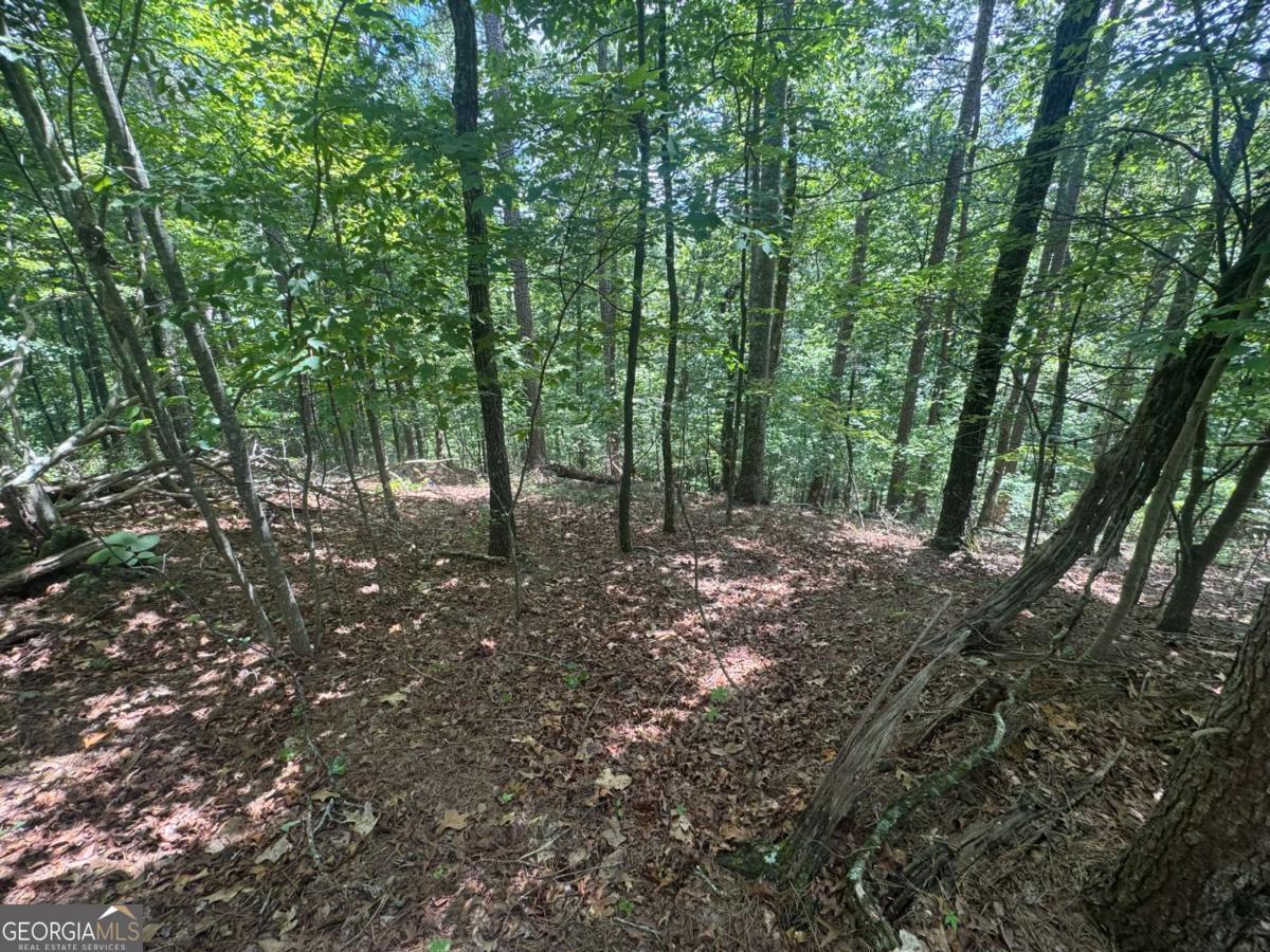 LOT 91 NE Muslin DR