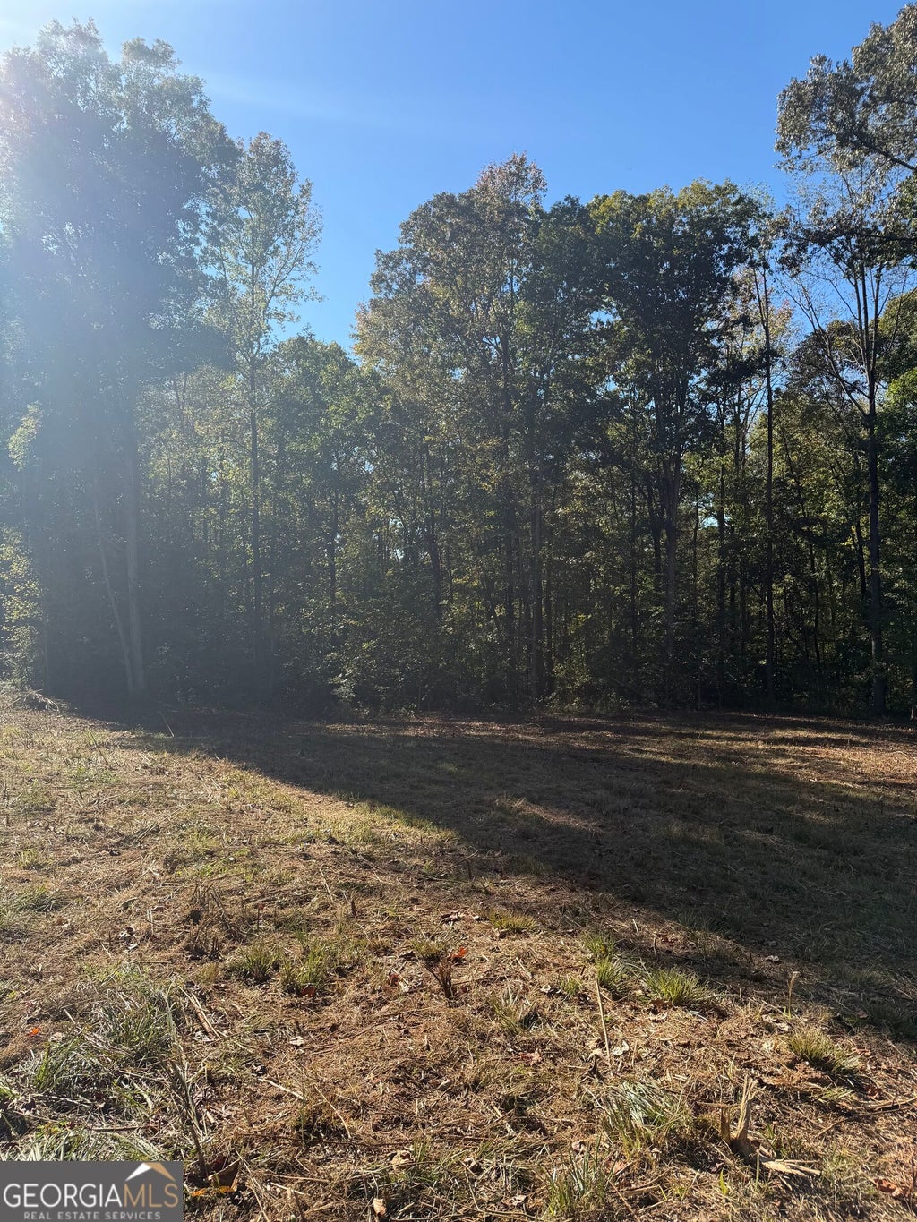 Photo of 212 Hillshore Court, Lavonia, GA 30553 (MLS # 10880459)