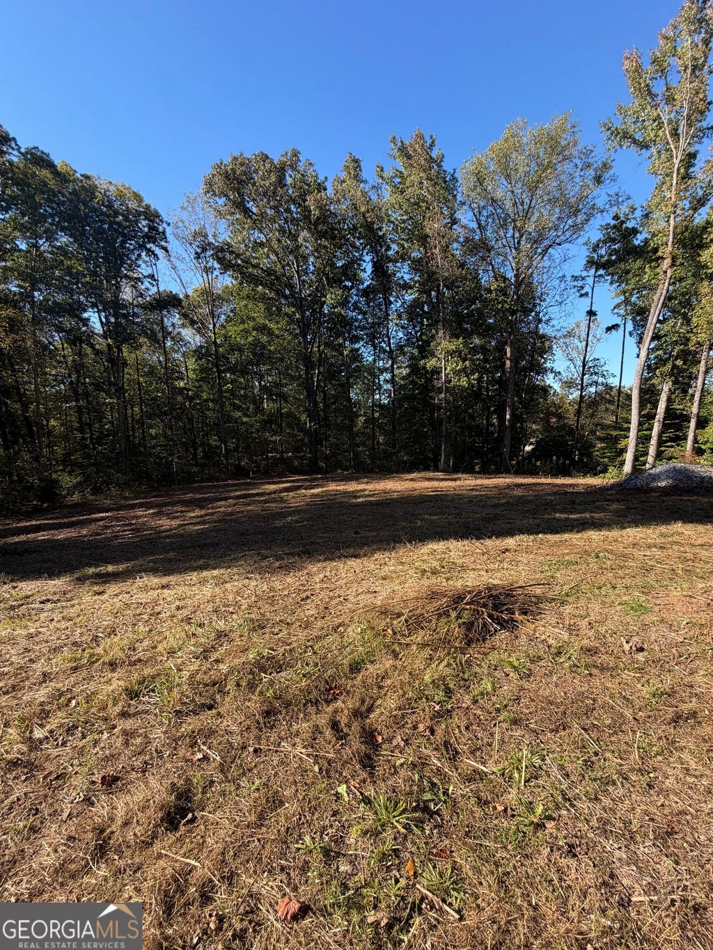 Photo of 212 Hillshore Court, Lavonia, GA 30553 (MLS # 10880459)