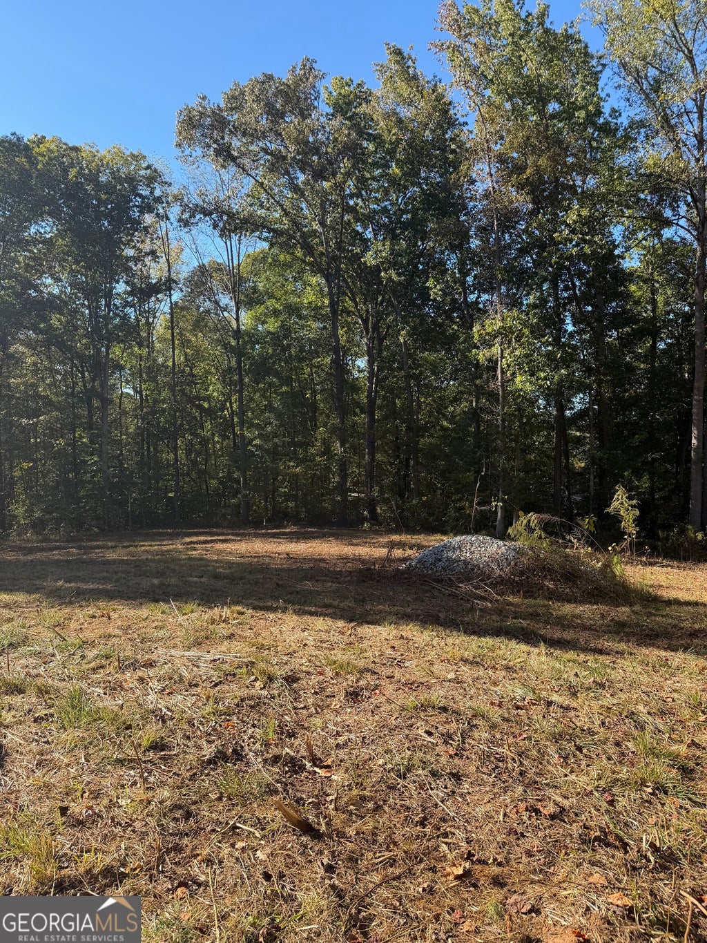 Photo of 212 Hillshore Court, Lavonia, GA 30553 (MLS # 10880459)