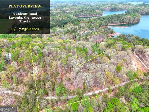Photo of 0 Calcutt Road #TRACT 1, Lavonia, GA 30553 (MLS # 10637935)