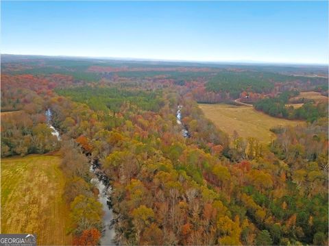 Photo of 702 Liner Road, Tallapoosa, GA 30176 (MLS # 10639544)