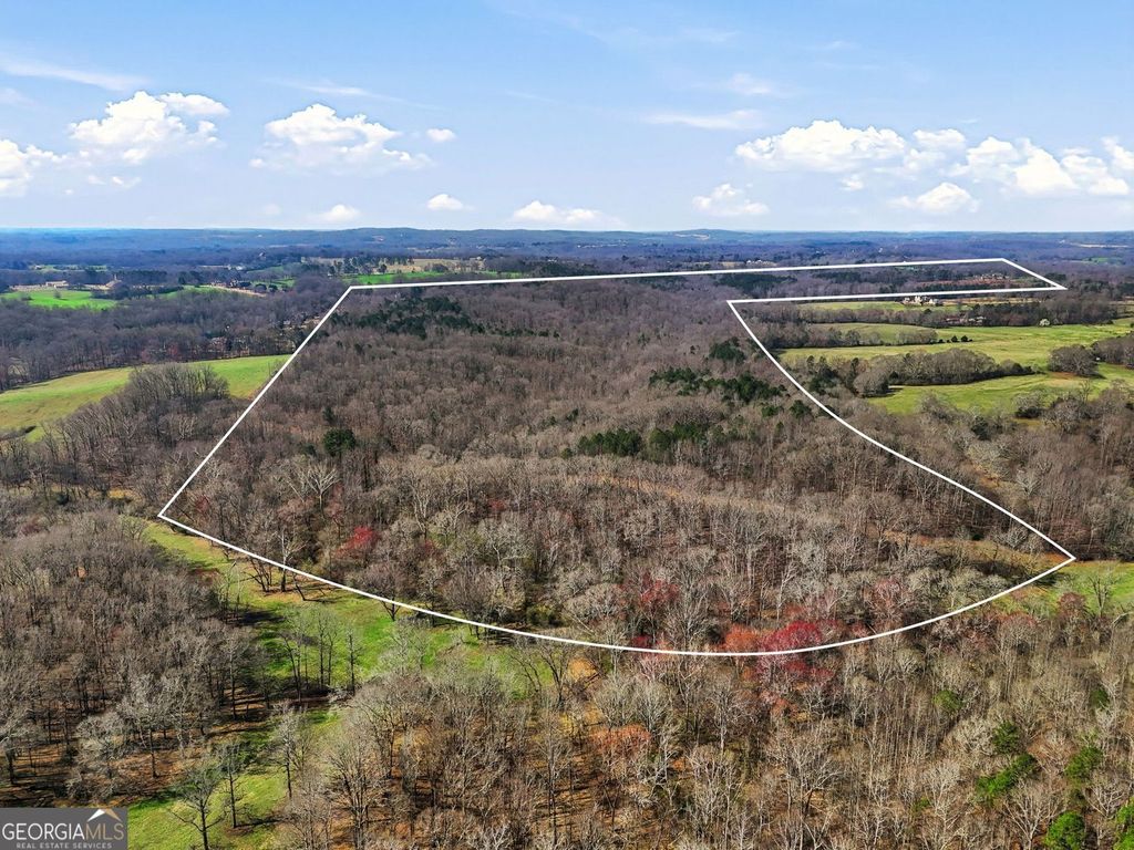 Photo of 99012 Martin Road, Talmo, GA 30575 (MLS # 10719355)