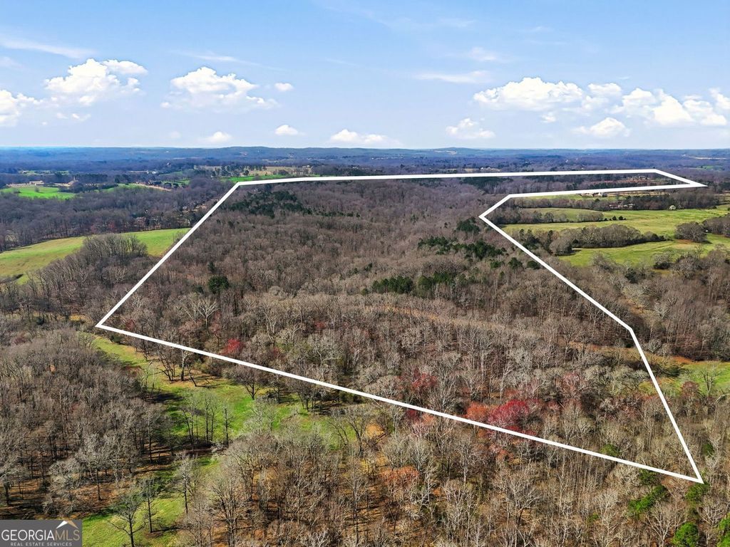 Photo of 99012 Martin Road, Talmo, GA 30575 (MLS # 10719355)