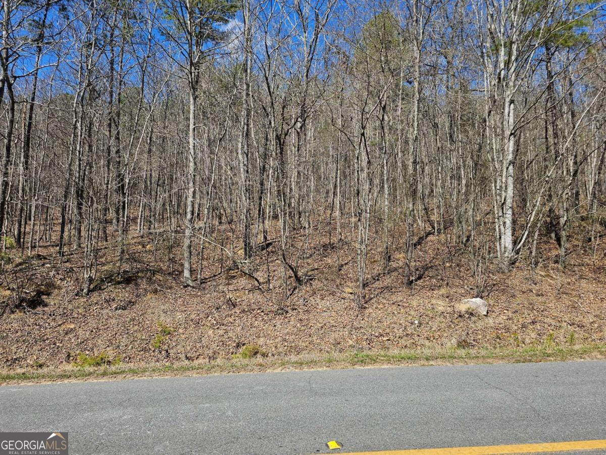 When envisioning the perfect place to build your dream home, this 2.1 acres of wooded privacy offers an ideal setting with 745+- feet of road frontage. Imagine your dream home nestled among the trees, where every window offers the sounds of nature provide a soothing soundtrack. This land is not just a blank canvas; it's an opportunity to create a personal sanctuary tailored to your lifestyle and preferences. Whether you envision a rustic cabin or a modern eco-friendly house, the possibilities are endless. And the accessibility of public water, electricity and Spectrum cable/internet ensures a smooth transition from mere land to a fully functioning home. The agricultural zoning ensures that the area maintains its rural charm and prevents over-development, preserving the peaceful atmosphere that makes this property so appealing. Living in a rural setting does not mean giving up on modern necessities. This property offers easy access to nearby towns and cities, ensuring convenience without sacrificing privacy. You'll find yourself just 25 miles, or approximately 30 minutes, away from both Rome, GA and Carrollton, GA, providing a wealth of opportunities for necessities, schools, healthcare facilities, shopping, dining, and entertainment. Additionally, the property is near Cedartown, GA, which offers its own unique charm and amenities. This 2.1-acre wooded property is more than just land; its the beginning of a new chapter, a place where you can build your dream home and create lasting memories. With its perfect blend of privacy, accessibility, and convenience, it offers a unique opportunity for those seeking a harmonious balance between nature and modern living. Whether you're planning to build a family home or a quiet retreat, this land is ready to welcome you to its tranquil embrace. Use Latitude 34.0144 and Longitude -85.3269 for map directions or 1612 or 1786 Prior Station Road for GPS.