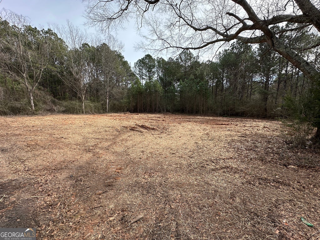 Photo of 0 Victory Road #LOT 1, Franklin, GA 30217 (MLS # 10787122)