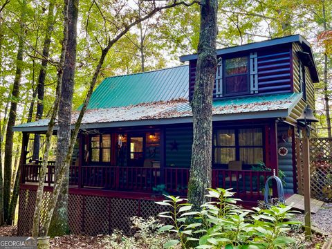130 Happy Valley LN Morganton GA 30560