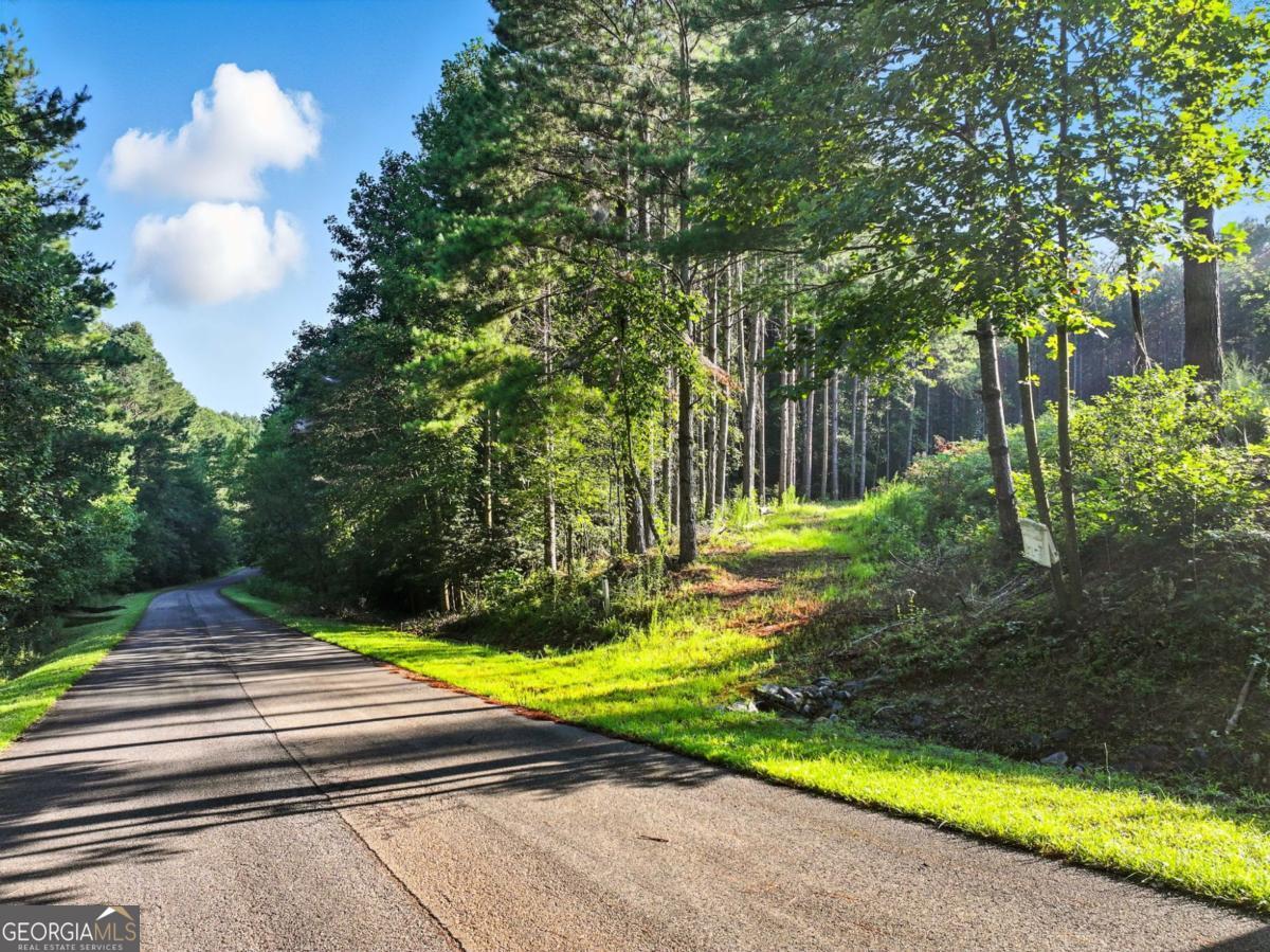 31&32 Foxpaw Leaf LN