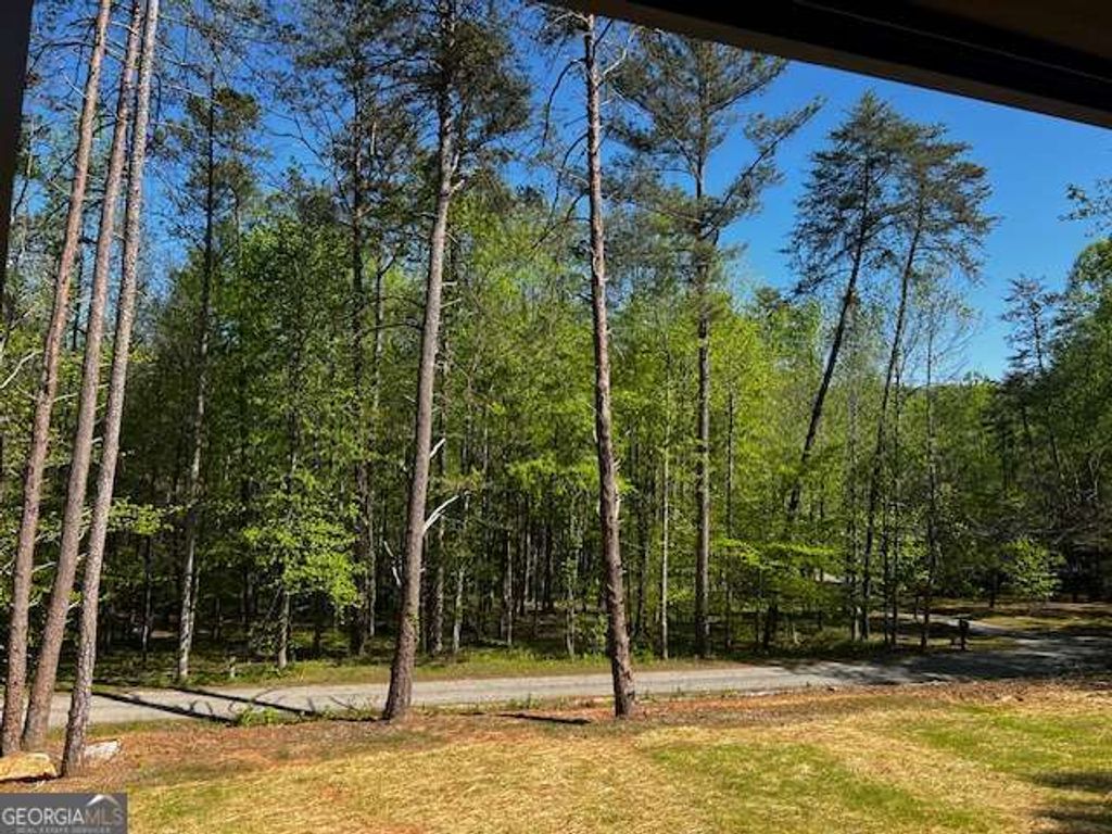 Photo of 258 Rocky Hollow Road, Ellijay, GA 30536 (MLS # 10738105)