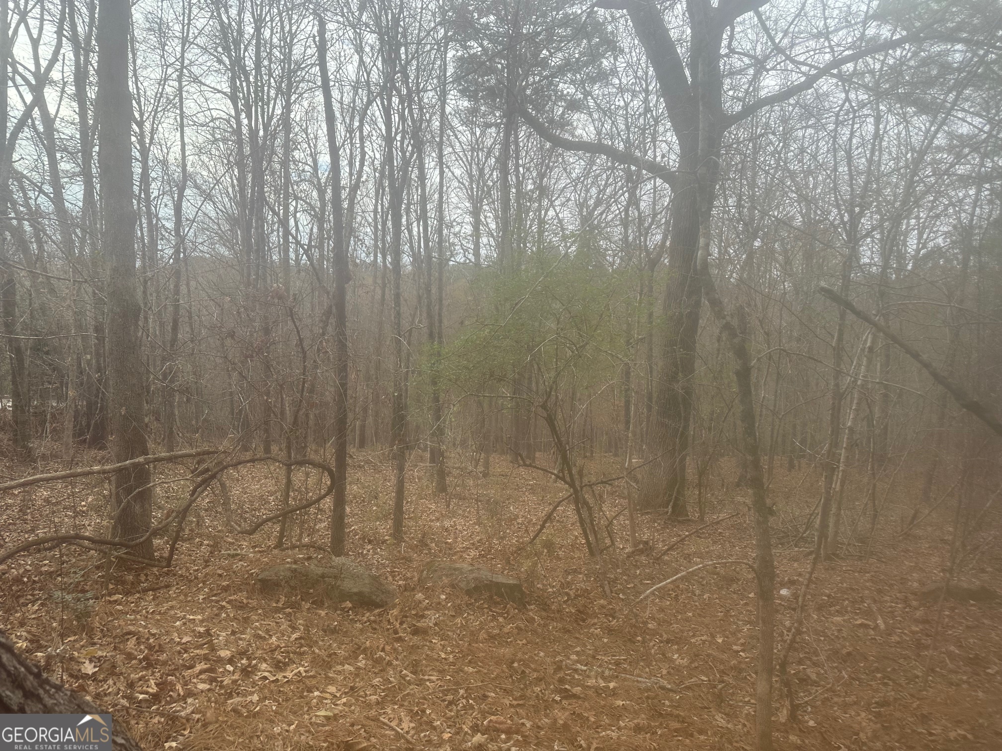 5221 Sandy Shores CT