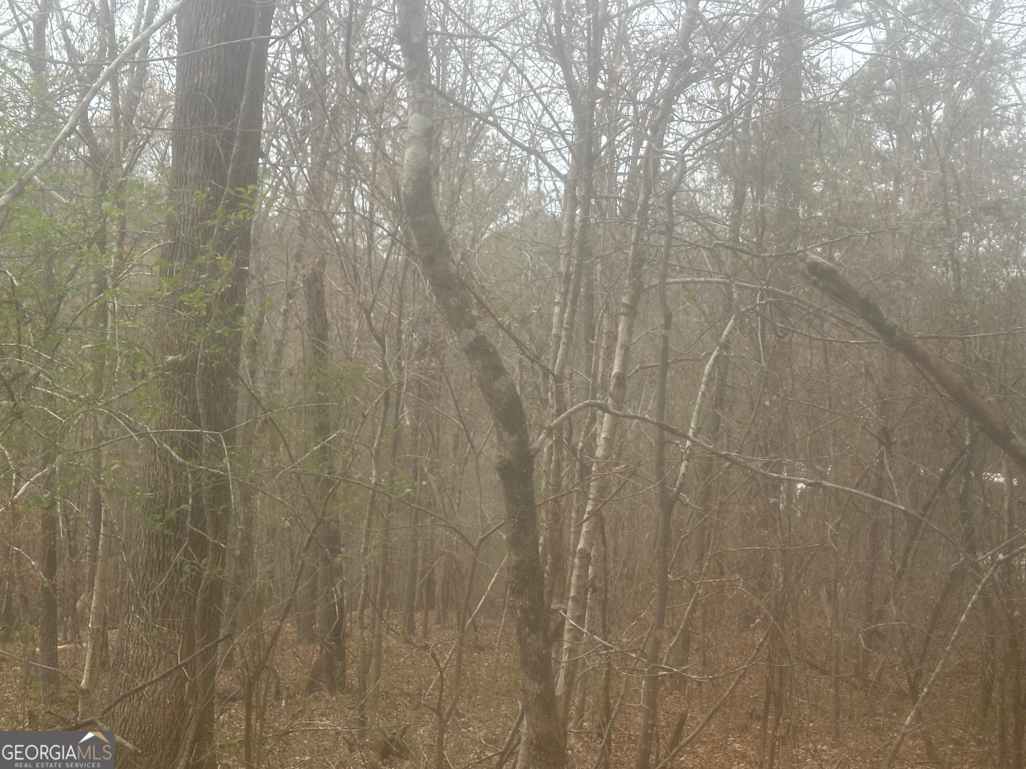 5221 Sandy Shores CT