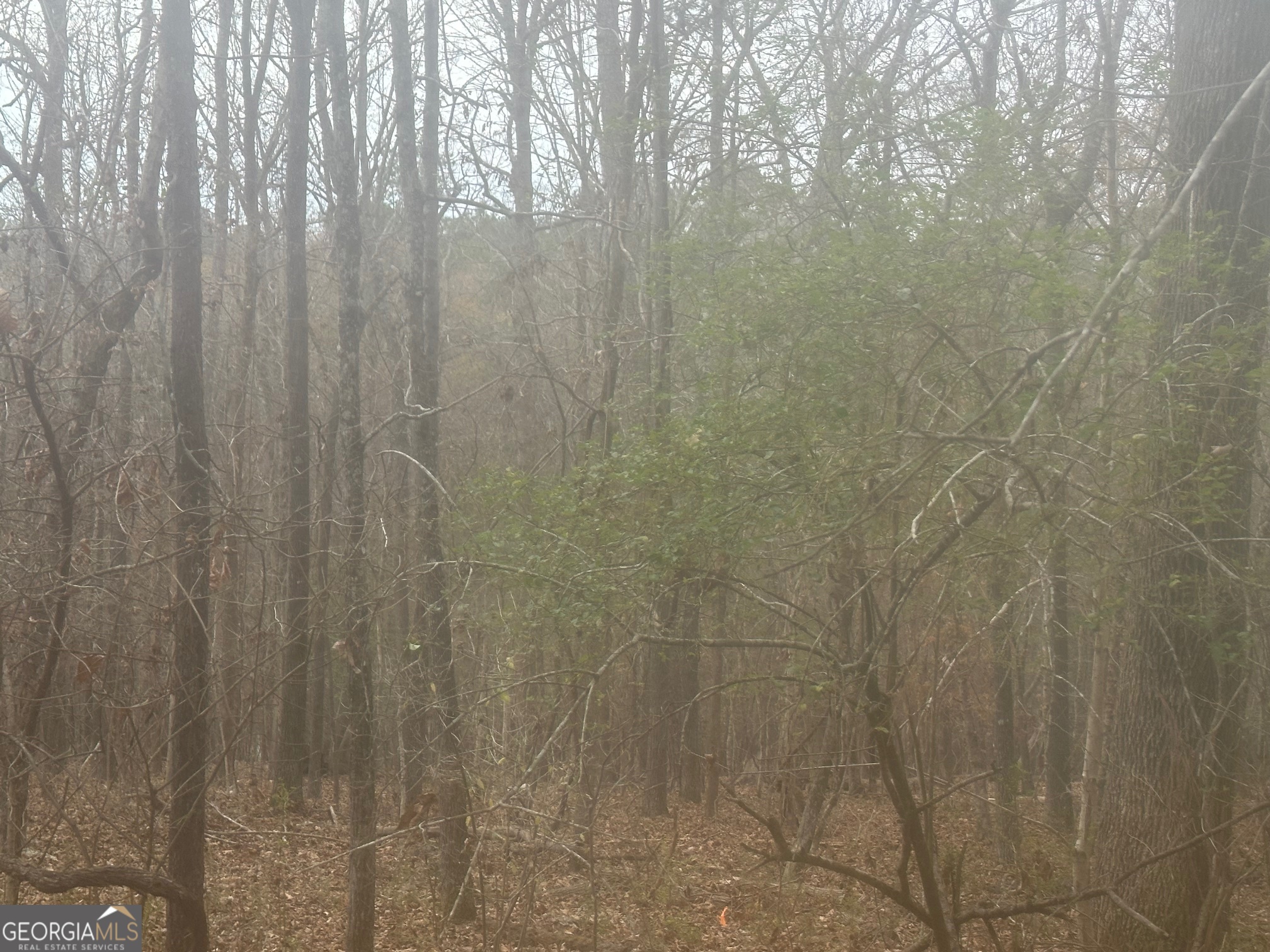 5221 Sandy Shores CT