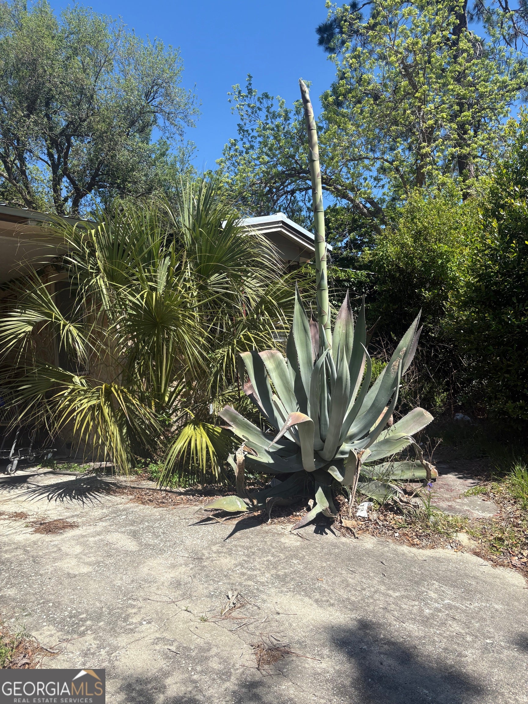 524 Martin Luther King DR