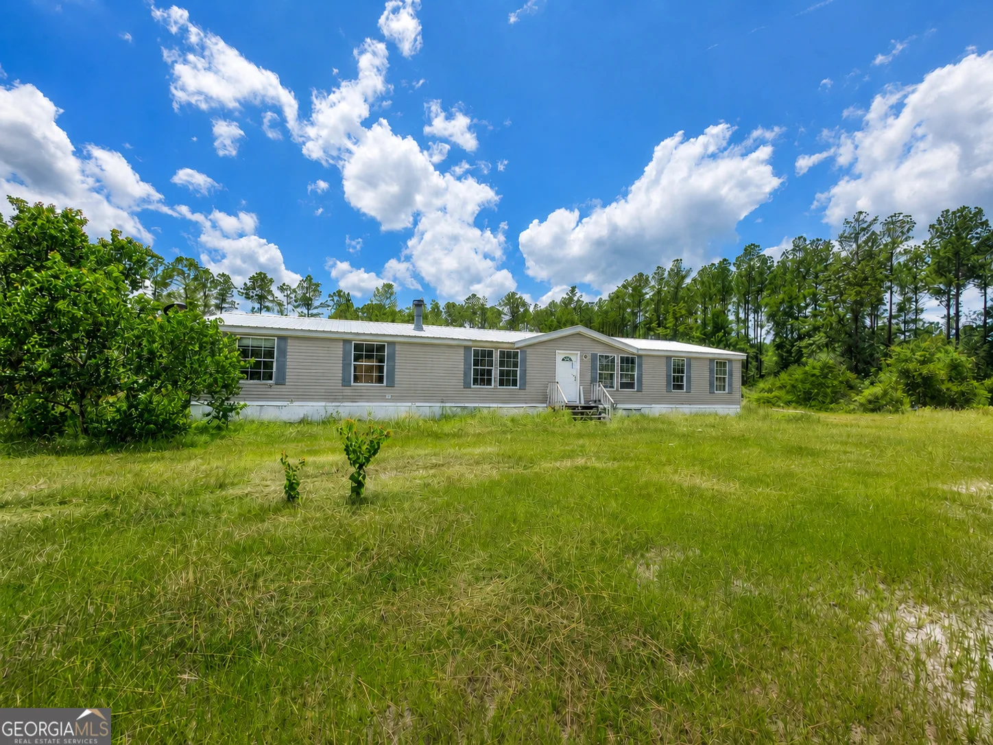 61 Drury Lane, Hortense, GA, 31543