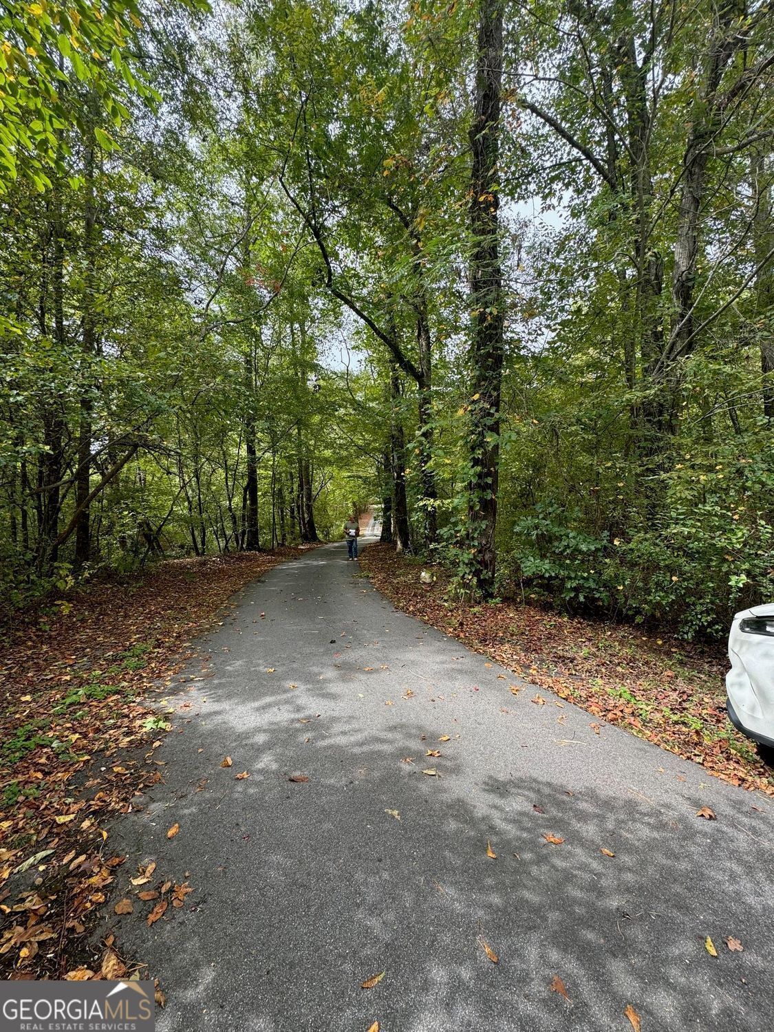 Time to build your Dream Home on this Beautiful, Wooded 5.68 Acres in Northeast Paulding County. Close to Downtown Dallas, Restaurants, Shopping, and Entertainment. Easy access to Cartersville and Acworth. The property is bordered by a creek on 2 sides with 160 feet of road frontage on Old Cartersville. Great Schools. Quiet, country living, you will love this property! Paved Easement located on the property for land behind this acreage.