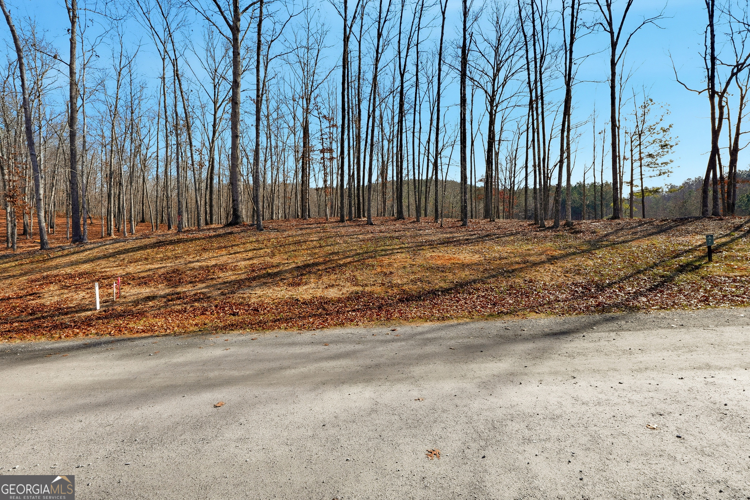 LOT 7 Springfield Parkway