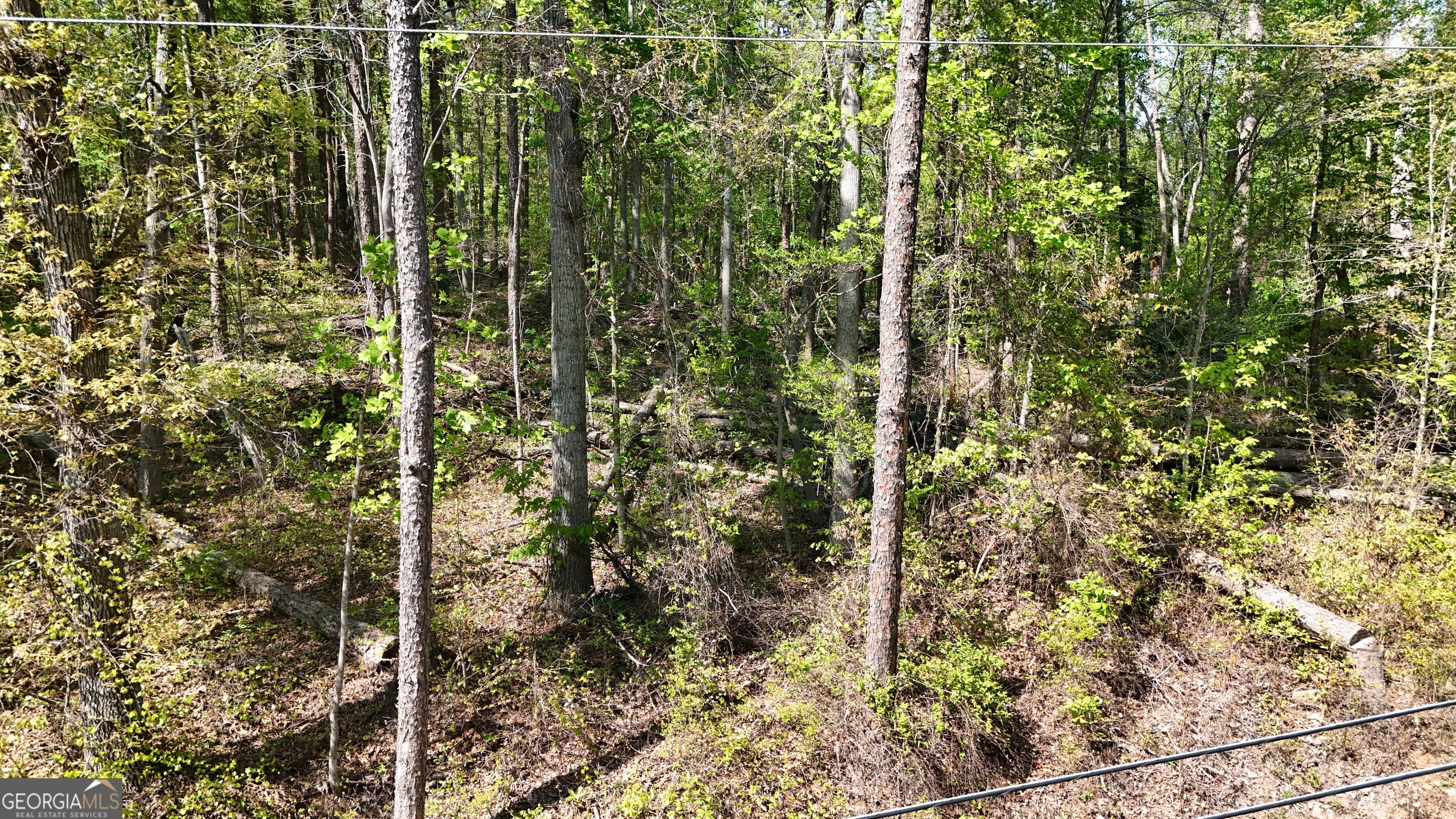 0 Holcomb North DR